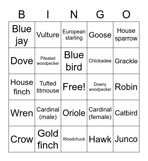 Virginia Bird Bingo Card