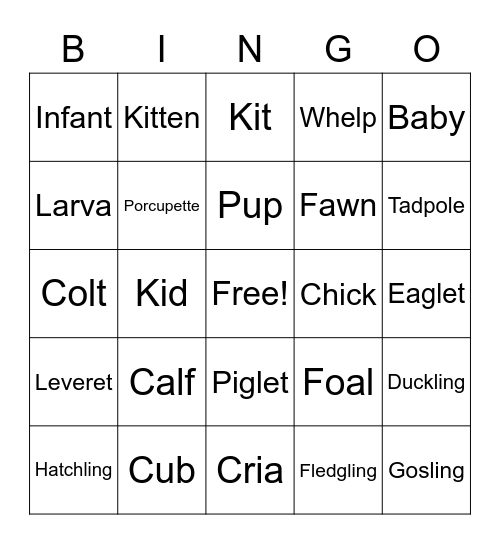 Bobcat Bingo Baby Edition Bingo Card