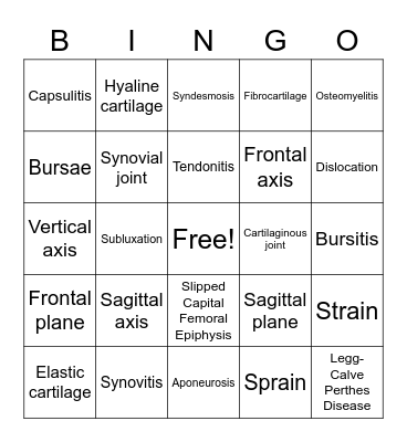 Kinesiology Bingo 1 Bingo Card