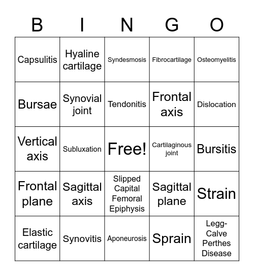 Kinesiology Bingo 1 Bingo Card