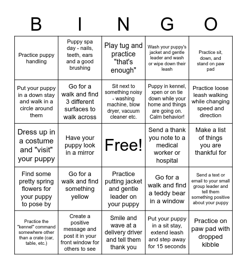 North 'n Rody's Novel Innings Lockdown Bingo Card