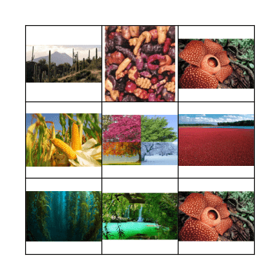 Plant Habitats Bingo Card