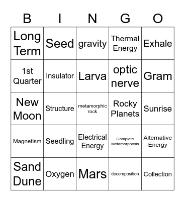 Science Bingo Card