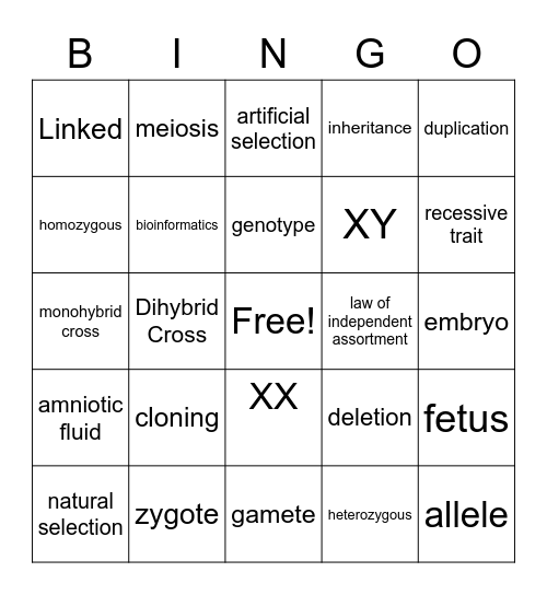 Everything is Awesome! Bingo Card