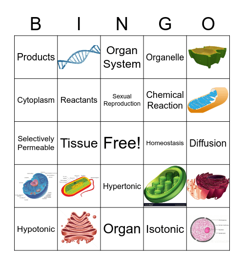 Cells and Cell Processes Bingo Card