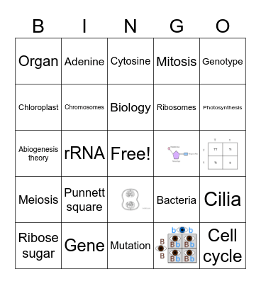Genetics BINGO! Bingo Card