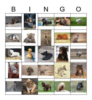 S & J Baby Shower Bingo Card