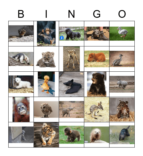 S & J Baby Shower Bingo Card