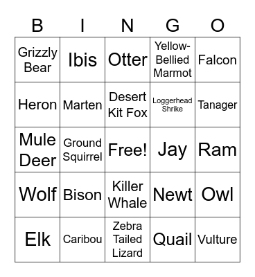 Animal Bingo Card
