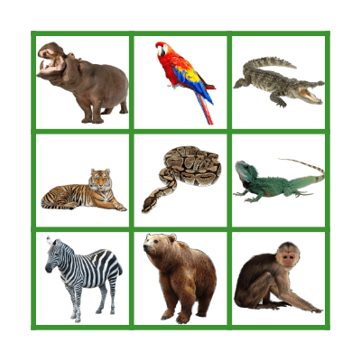 Zoo Animals Bingo Card