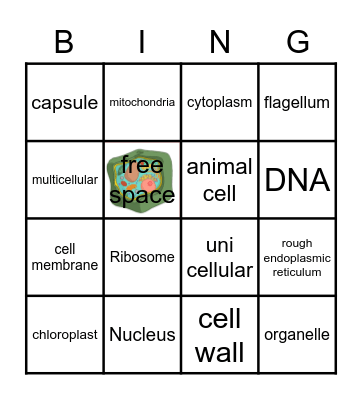 Cell bingo Card
