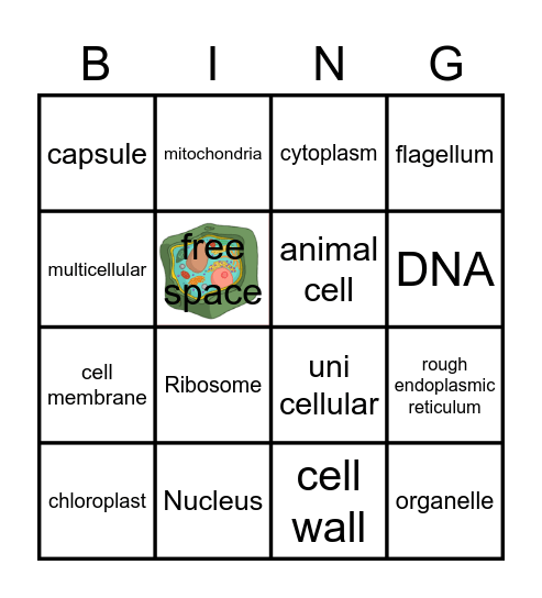 Cell bingo Card