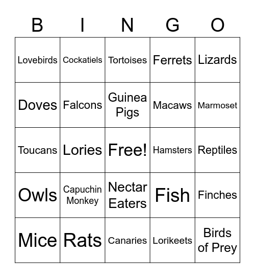 Exotics BINGO Card