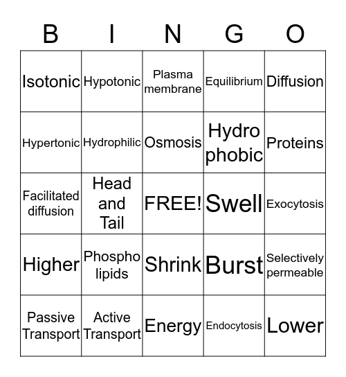 Cell Membrane & Cell Transport Bingo Card