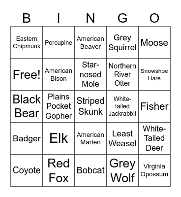 Wisconsin Mammals Bingo Card