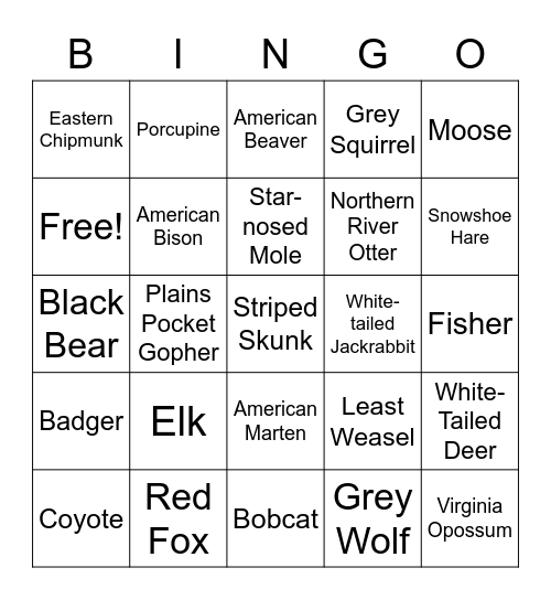 Wisconsin Mammals Bingo Card
