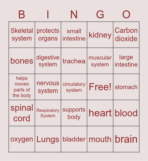 Human Body Bingo Card