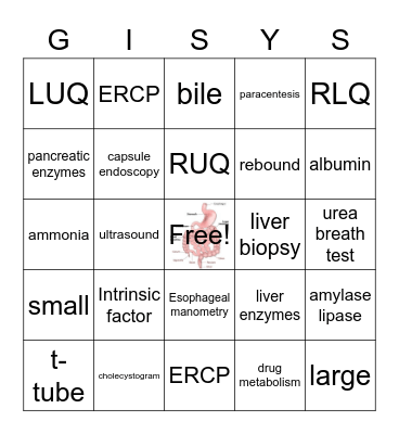 GI System Bingo Card