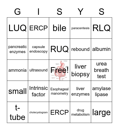 GI System Bingo Card