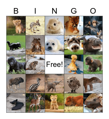 Baby Animal Bingo! Bingo Card