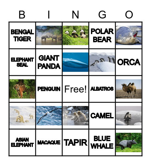 WORLD ANIMALS Bingo Card