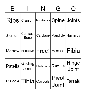 Skeletal System Bingo Card
