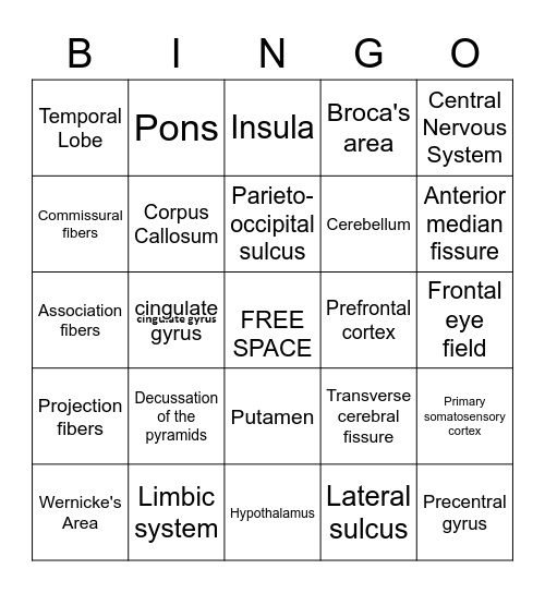 Central Nervous System Bingo Card
