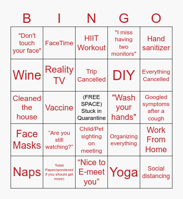 Quarantine Bingo Card