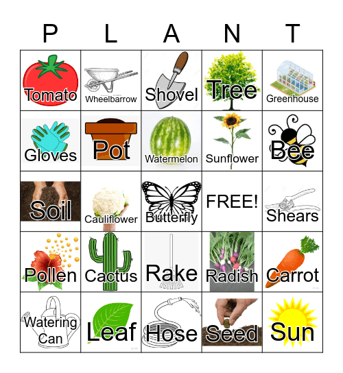 Plants Bingo Card