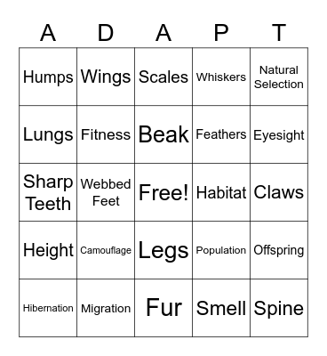 Adaptation Bingo Card