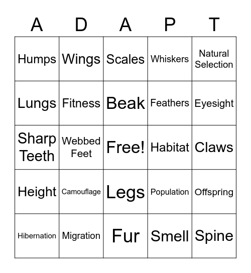 Adaptation Bingo Card