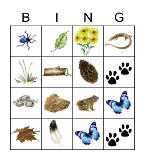 Nature Scavenger Hunt Bingo Card