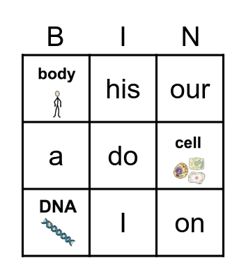 DNA Vocabulary Bingo Card