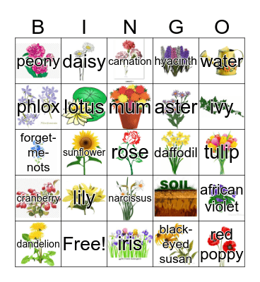 Flowers  Bingo Card