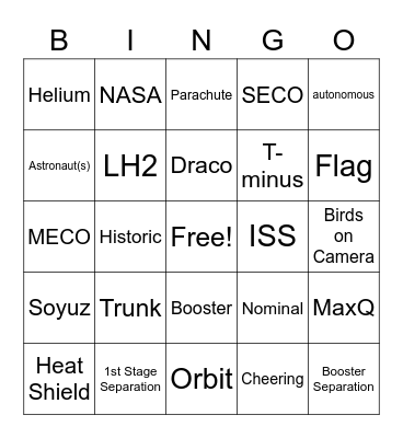 Crew Dragon Demo 2 Bingo Card