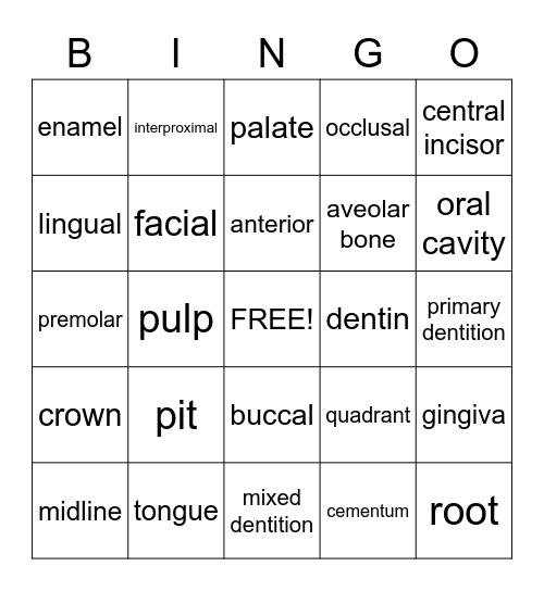 Basic Mouth Terminology Bingo Card