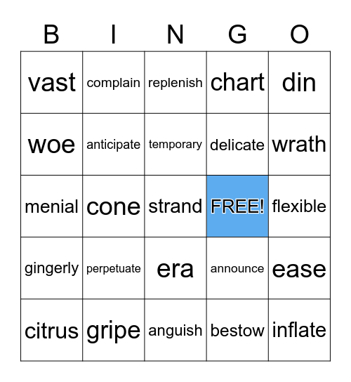 Daily Video Words of the Day Bingo Card