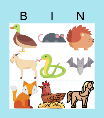 Animals Bingo Card