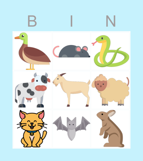 Animals Bingo Card