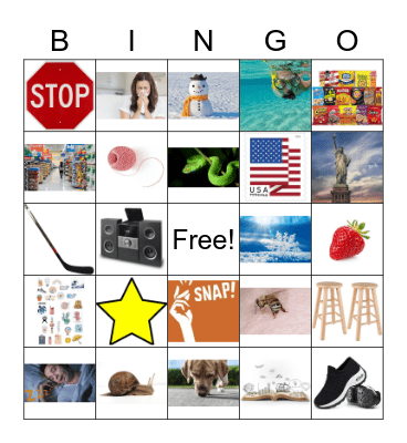 SN/ST Initial Bingo Card
