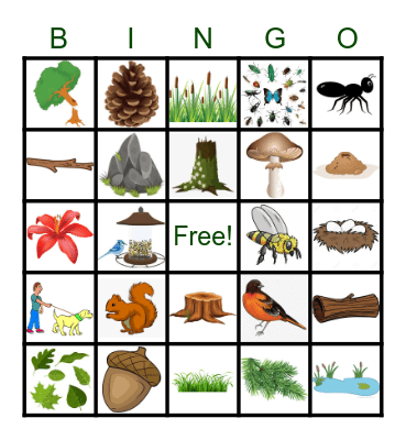 Nature Bingo Card