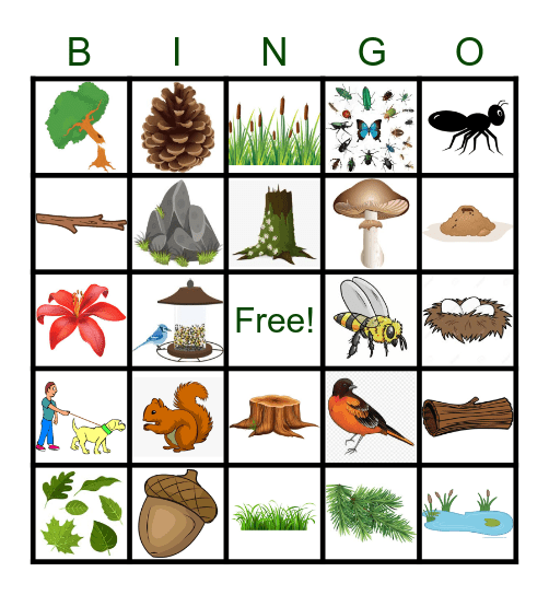 Nature Bingo Card