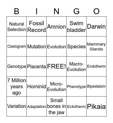 Evolution Revolution Bingo Card