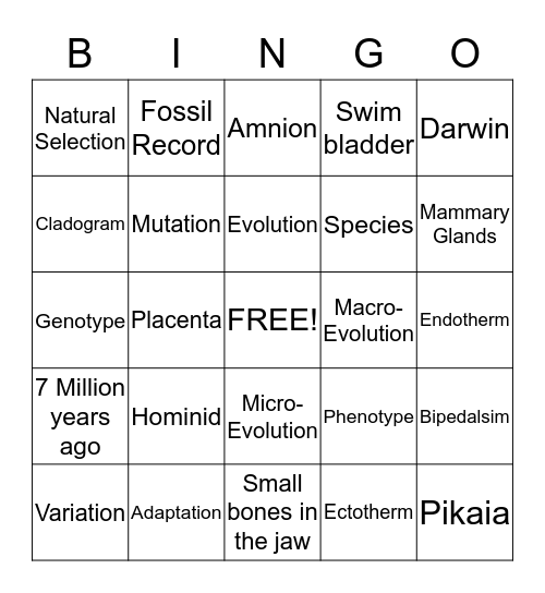 Evolution Revolution Bingo Card