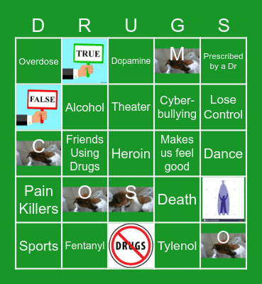 LMS: What are Opioids? Bingo Card