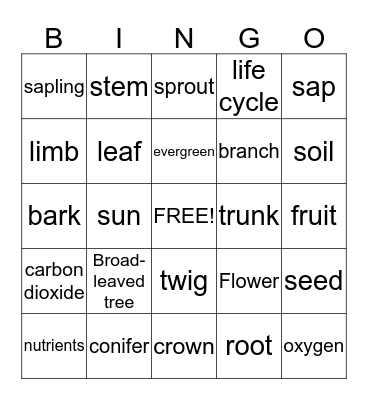 Tree bingo Card
