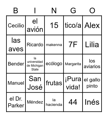 Robo en la Noche Bingo Card