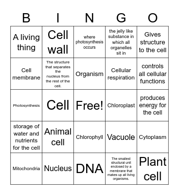 Cells and Functions Bingo Card