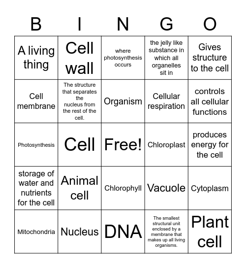 Cells and Functions Bingo Card