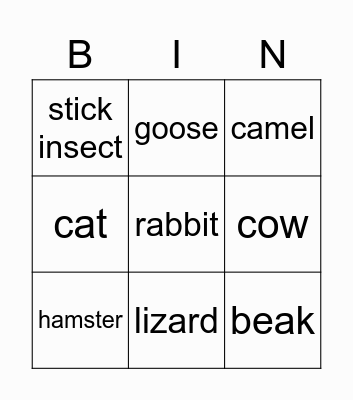 BINGO ANIMALS Bingo Card